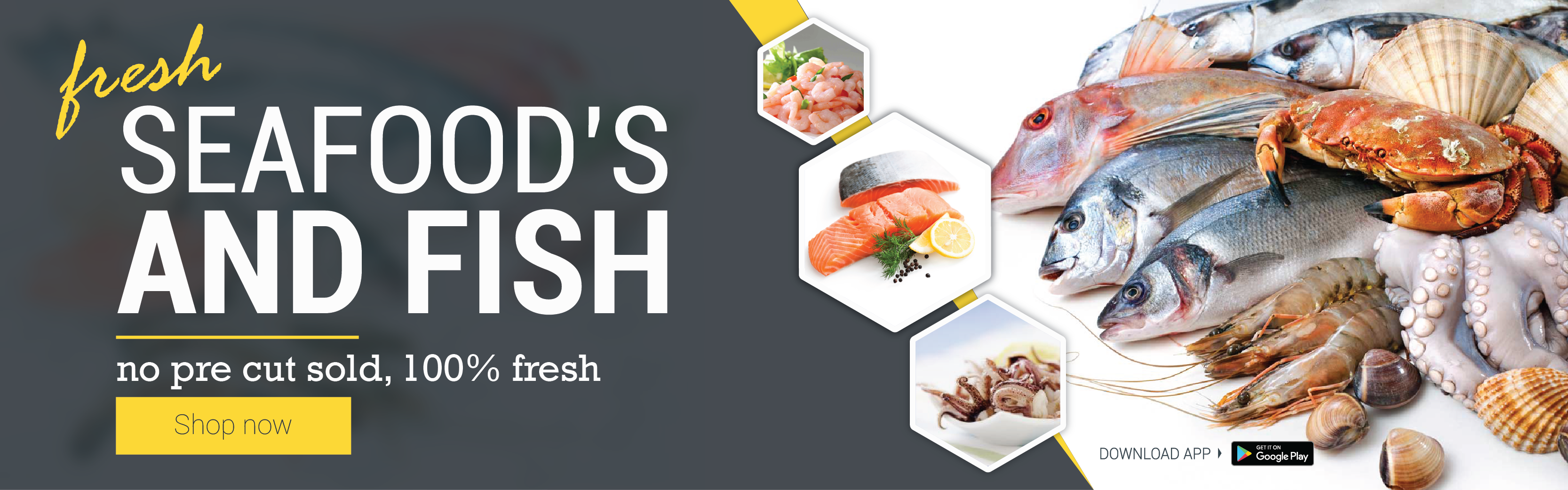 web banner 2-05-03.png